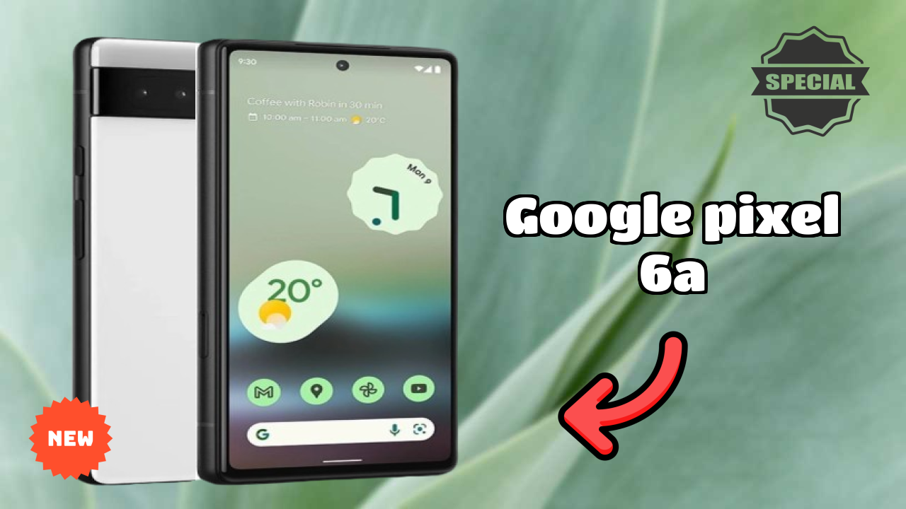 Google Pixel 6A Camera Test: 12.2 MP + 12 MP Rear Camera Sample Photos