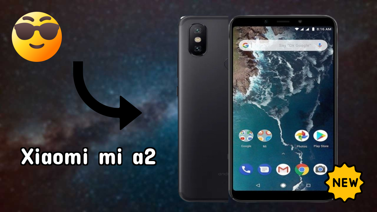 Xiaomi Mi A2 Camera Test: 12 MP + 20 MP Rear Camera Real Photos